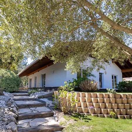 Villa Blanche Ocean Et Golf Semesterbostad Moliets-et-Maa